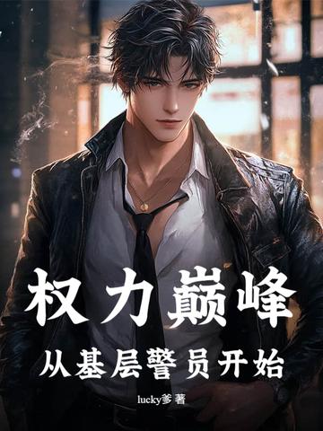 权力巅峰是什么样的书