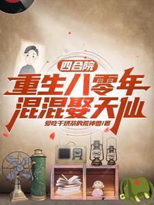 四合院从捡破烂到时代传奇全文免费阅读