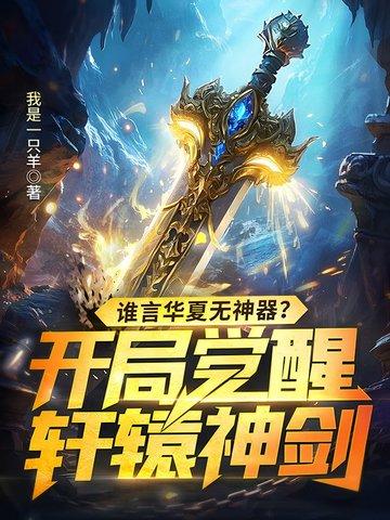 华夏第一少主轩辕傲