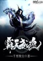 霸天武魂境界