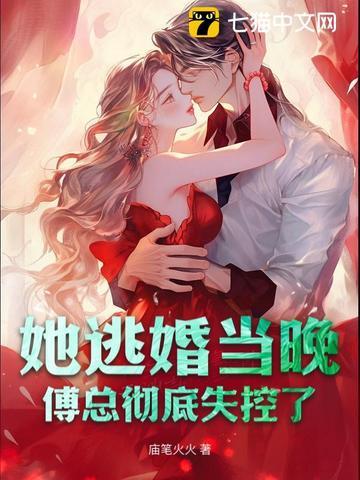 夫人又逃婚了!