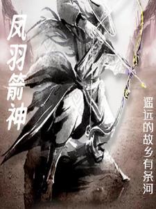 箭羽风息手感